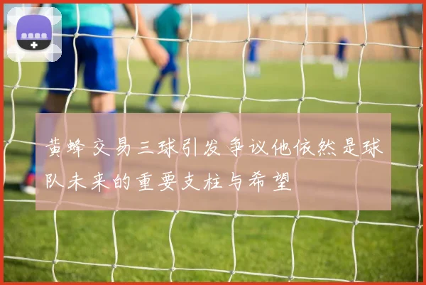 黄蜂交易三球引发争议他依然是球队未来的重要支柱与希望